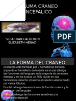 Trauma Craneoencefalico