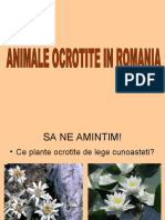 Animale Ocrotite in Romania