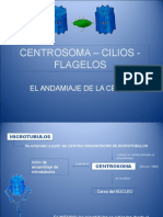 Centrosoma, Cilios y Flagelos 2012
