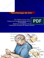 neurofisiologia del dolor