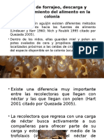 Proceso de Forrajeo, Descarga y Almacenamiento Del