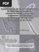Anexo N1 Plan Anual Trabajo Sst 16 Imperio Britanico Reino De Los Paises Bajos