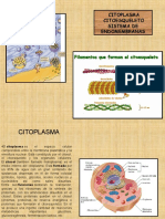 Citoplasma - Citoesqueleto y Endomembranas 2012