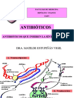 Antibioticos Que Inhiben Sintesis Proteica 