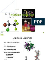 SEMANA 11 - Atomo de Carbono y Hidrocarburos