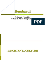 Bumbacul PDF