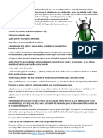 escarabajo.pdf