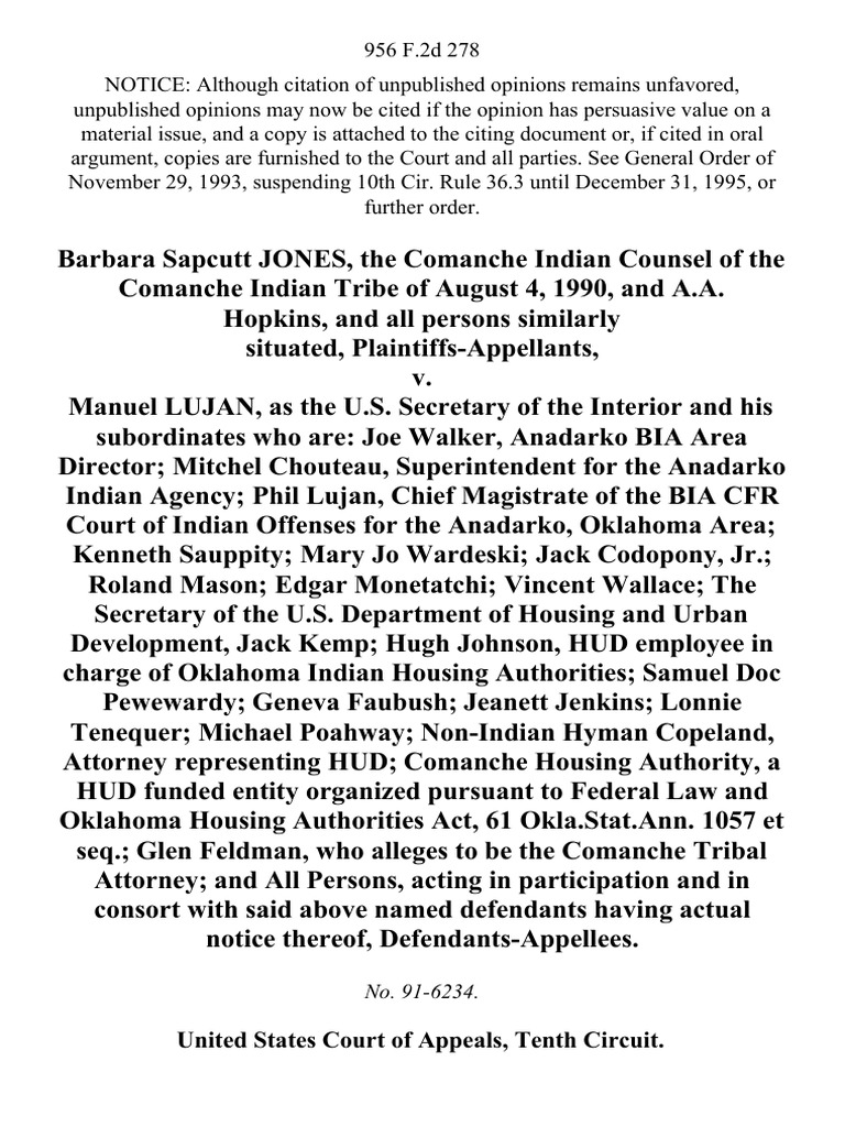 United States Court of Appeals, Tenth Circuit PDF Standing (Law