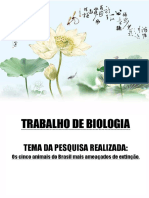 TEMA DA PESQUISA REALIZADA