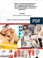 Puerperio Etapas Collage