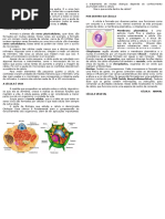 A Organização Dos Seres Vivos