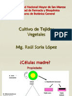 4ta sem- Tejidos cultivo.pdf