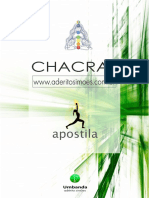 chacras_apostila1