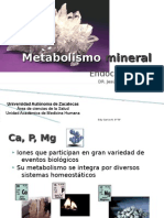 Metabolismo Mineral