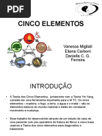 CINCO+ELEMENTOS