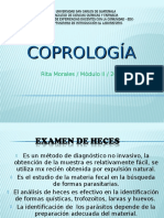Coprologa Examendeheces 140514222139 Phpapp01