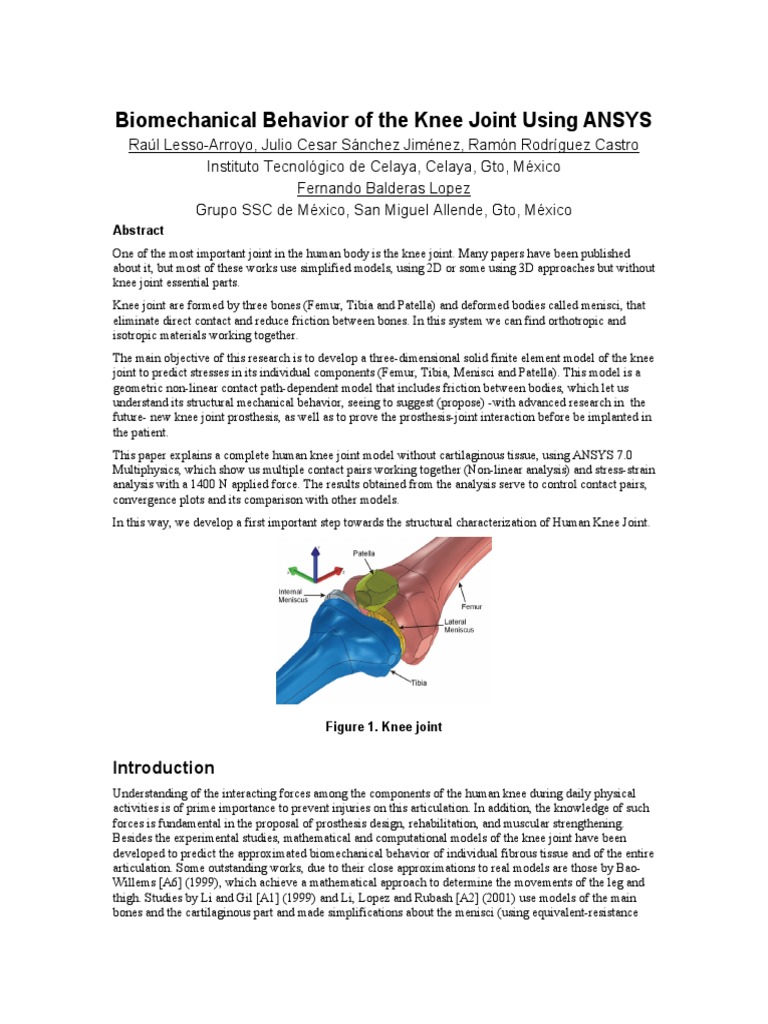 Knee Joint FEM Analysis with ANSYS | PDF | Knee | 3 D Modeling