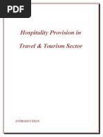 Hospitality Provision into Travel 