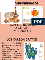 Clase 5 Glucidos de Bioquímica Ambiental-2015-I