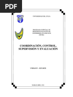 Gerencia de Los Servicios de Enfermeria Unidad IV