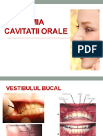 Anatomia Cavitatii Orale, Glandelor Salivare Si Foselor Nazale