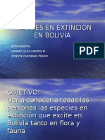 Especies en Extincion en Bolivia1
