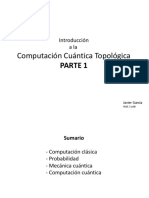 Computacion Cuantica Topologica