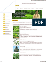 Astro Vastu Guide - Cheramuli