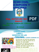 Prescripcion y Caducidad y Tipos de Procesos Judiciales