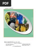 Proyecto Minero Magistral Observado