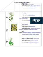 Abecedario de Plantas Medicinales