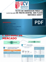 Proyecto de Inversion Para La Empresa de (1)