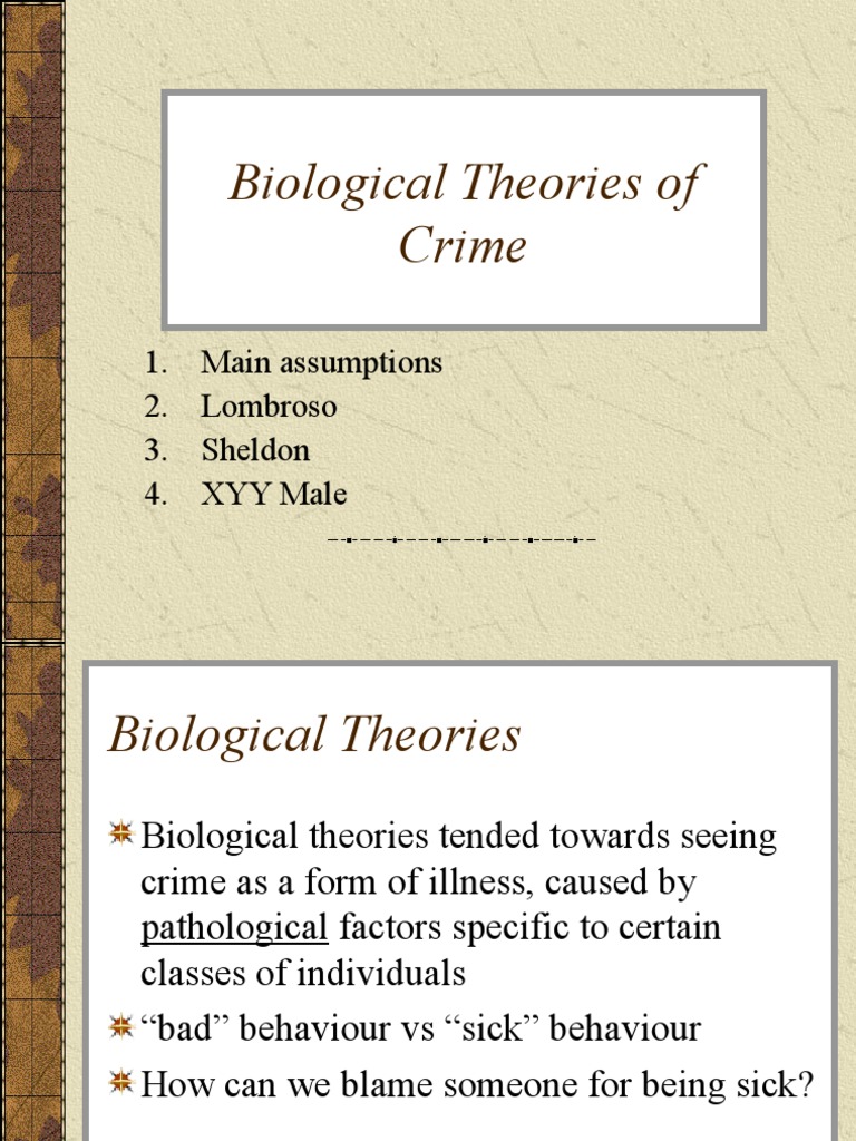 Biological Theories Of Crime Pdf Crime Violence Crime Thriller