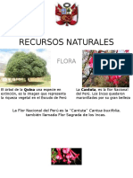 Recursos Flora URP