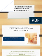 Vías de Propagación de Infecciones Odontogénica