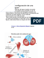 Agua y Equilibrio Ácido-Base