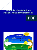 Sekundarni Metabolizam