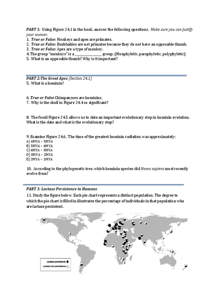 3) Hominin Evolution in-class Worksheet 2005 | Hominidae | Ape