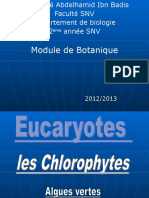 Chlorophytes Chloro Ph Ytes