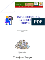 Introduccion Gestion de Proyectos PDF