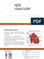 Fisiología Cardiovascular