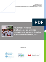 2013 Cha Prevalencia Geohelmintiasis PDF