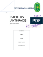 Monografia - Bacillusanthracis