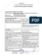 09 Formato Evaluacion Socio Ambiental Preliminar (Fotmato 12 - Anexo 3-A) (Autoguardado)