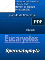 Spermaphytes2 Spermaphytes2