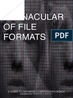 Lofi Rosa Menkman - A Vernacular of File Formats