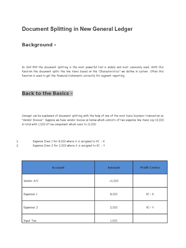 Document Splitting in New General Ledger: Background | PDF | Debits And ...