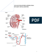 78041641-Anemia-Pada-CKD.doc