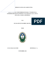 Tesis de Oscar Ramirez La Masica PDF