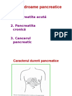 Pancretita Cronică